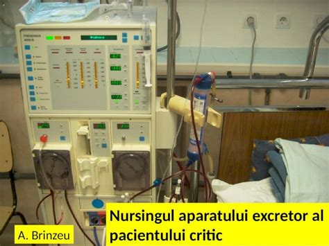 Pptx Nursingul Aparatului Excretor Al Pacientului Critic Dokumen