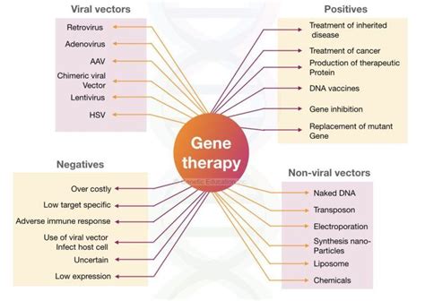 Pin on Genetic education