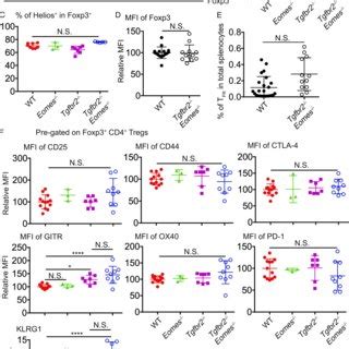 An Eomes Dependent Genetic Program Controls The Location Of Cd T Reg