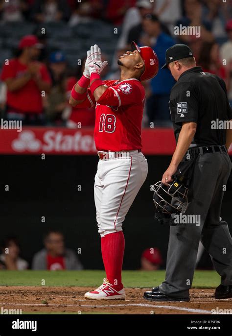 Cardenales de lara hi-res stock photography and images - Alamy