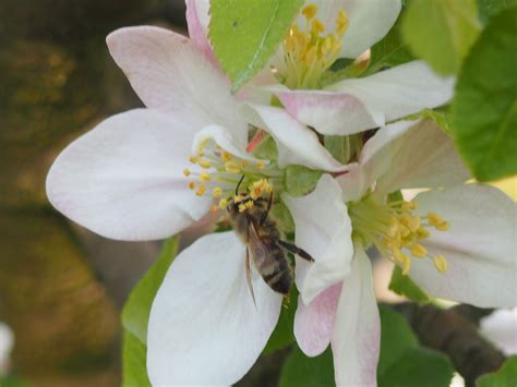 Naturland Hof Vilser Aus Der Region Donauwald