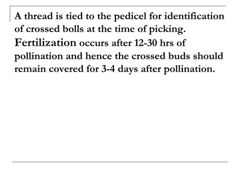 Cotton Hybrid Seed Production Ppt