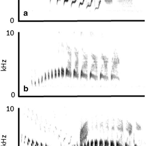 Spectrograms of a male canyon wren song (a), a female canyon wren song... | Download Scientific ...