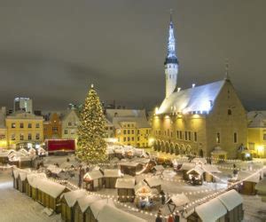 11 fun winter activities in Tallinn and Estonia | Tallinn Day Trip