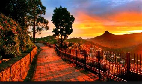 Banagalore Ooty Kodaikanal Tour Package Nights Days Budget