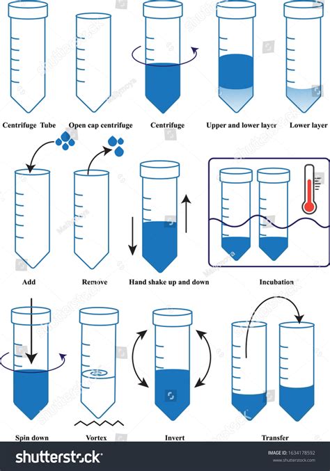 Centrifuge Tube Conical Tube Protocol Flow Vector có sẵn miễn phí bản