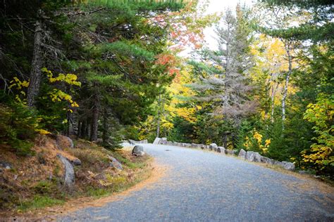 The Perfect Acadia National Park Itinerary For 2024 Earth Trekkers