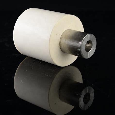 Xtl Sintyron Metallized Alumina Ceramic Plunger Xtl