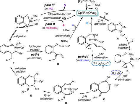 Proposed Reaction Pathways Solvent Controlled Diversified Ch