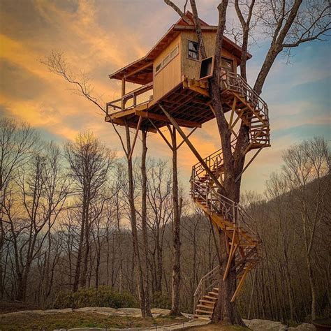 tree house airbnb near me 7