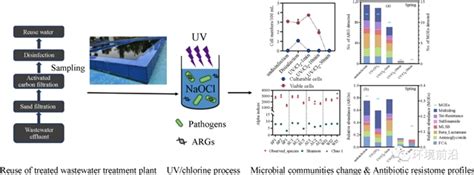 Fese 前沿研究：紫外氯处理对再生水中微生物群落结构、典型病原菌及耐药基因的影响—论文—科学网