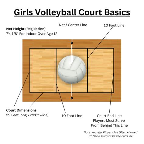 Girls Volleyball Positions: VB Player Positions + Numbered Court ...