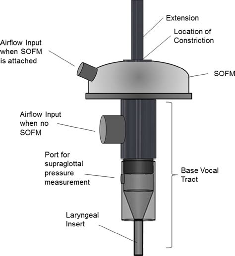 Semi Occluded Vocal Tract Sovt Used In Excise Larynx Setup With