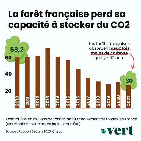 La Forêt Française Perd Sa Capacité à Stocker Du Co2 Vert Eco