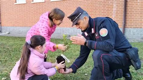 Carabinieri Forestali Portano Gli Alberi Della Giornata Nazionale In 12