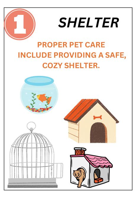 Pet Care 101 Learn How To Take Care Of Your Pets At Home Learning