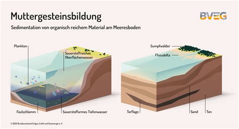 Muttergesteinsbildung Bveg