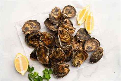 Buy Wellfleet Oysters For Delivery Near You | Farm To People