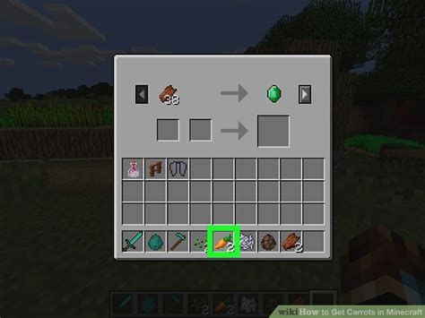 How To Get Carrots In Minecraft 14 Steps With Pictures