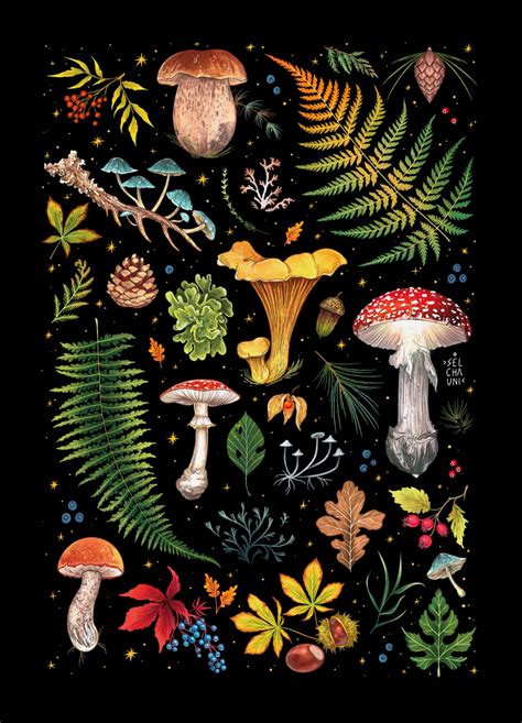 Forest Mushrooms And Ferns Postcard Mini Print Wall Art A6 Etsy