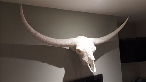 Bison skull - Gallery - McNeel Forum