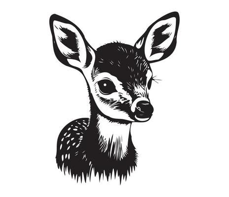 Baby Deer Silhouette Vector Art, Icons, and Graphics for Free Download