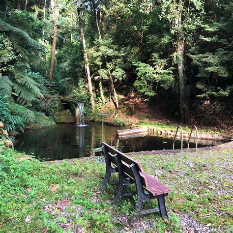 Refúgio dos Falcões Descubra Nova Friburgo