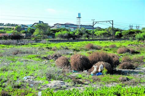 Kuils River pollution – The Mail & Guardian