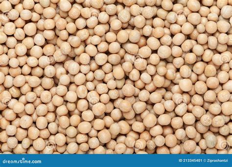 Pisum Sativum Pea Close Up Raw Sugar Pea Green Fresh Market Background