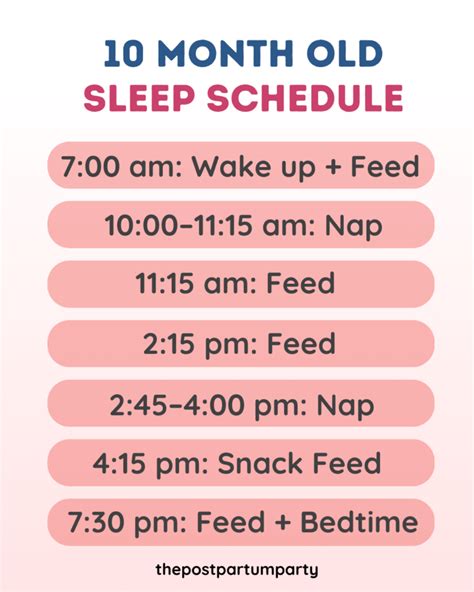 Sample 10 Month Old Sleep Schedule With Naps & Feeds - The Postpartum Party