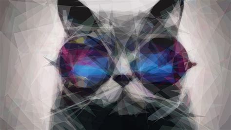 🔥 [50+] Cat Wearing Glasses Wallpapers | WallpaperSafari