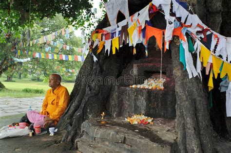 Lugar De Nacimiento Del Templo Maya Devi De Gautama Buddha Lumbini