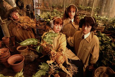 Мандрагора - яд с человеческим лицом - Fanatic Beer Magazine