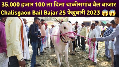 35000 हजार 100 ला दिला चाळीसगांव बैल बाजार Chalisgaon Bail Bazar