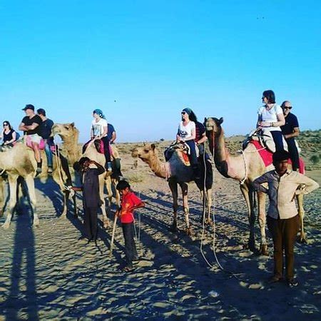 jodhpur desert safari camp - Jodhpur | Tripadvisor