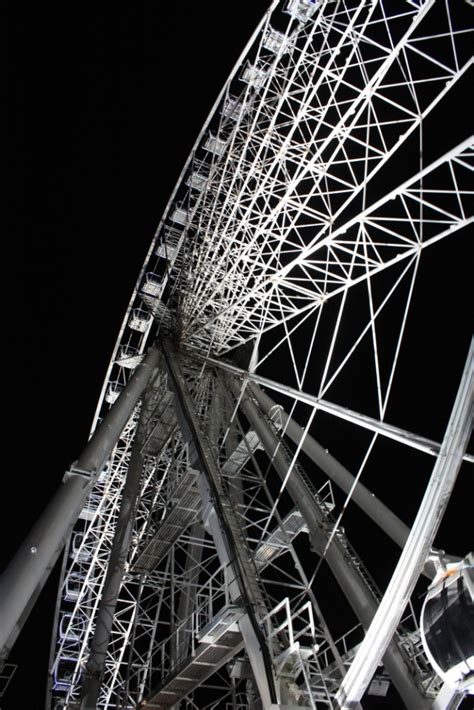 DAILY PHOTO Budapest Eye By Night Tiger Riding For Beginners