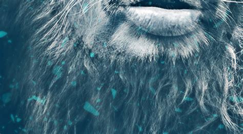 The Panthera Leo on Behance