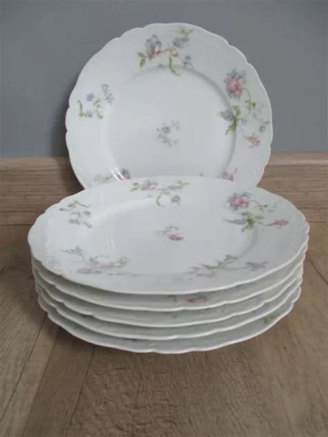 6 ASSIETTES A Dessert Entree En Porcelaine De Limoges Haviland Decor