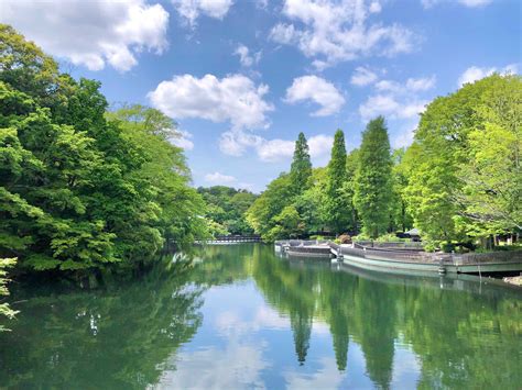 休日には自然の中でのんびりと。東京都内・自然豊かな公園近くのお部屋まとめ Goodroom Journal