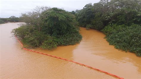 Fotos Drone Mostra O Rio Doce Antes E Depois Da Lama Fotos Em