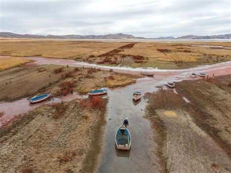 Titicaca la contaminación está matando una de las cuencas del lago más