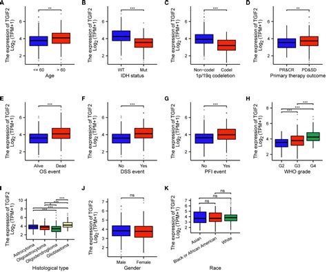 Frontiers TGIF2 Is A Potential Biomarker For Diagnosis And Prognosis