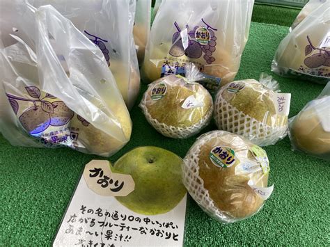 梨の新品種、甘太販売中！！｜大時果樹園 栃木県宇都宮市の梨・ぶどう農園