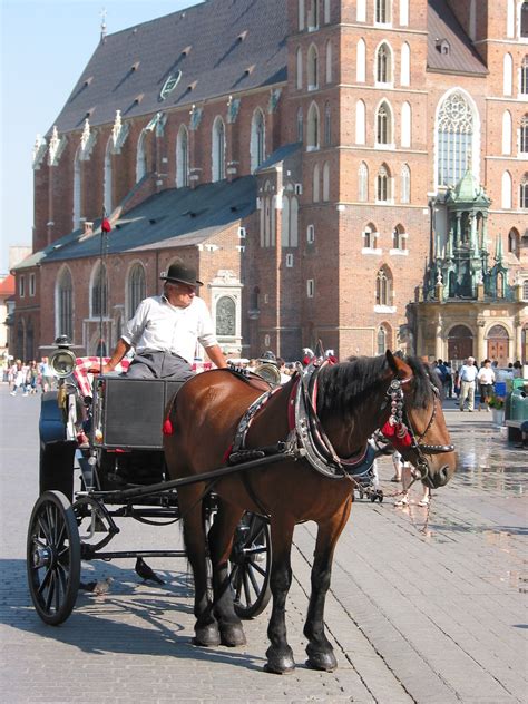 Attelage Sur Le Rynek Fryderyk Flickr