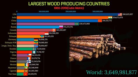 Largest Wood Producing Country In World 1961 2019 Youtube