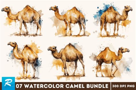 Watercolor Camel Bundle Graphic By Regulrcrative · Creative Fabrica