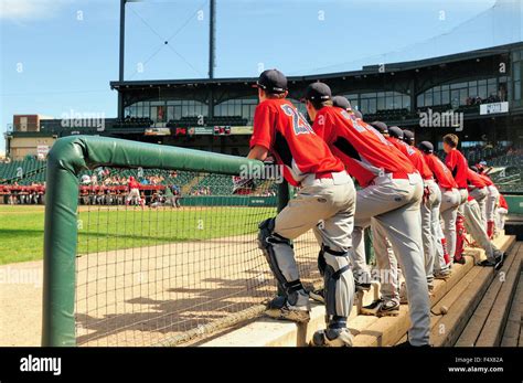 Players Are All On The Top Step Of Dugout As They Watch An At Bat By A