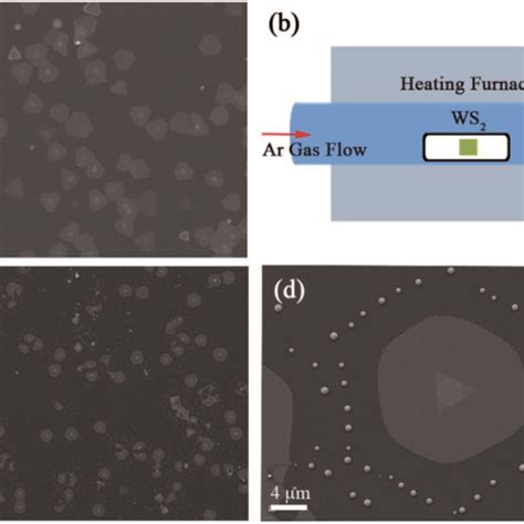 A And C Sem Images Of D Ws Film Before And After Annealing At