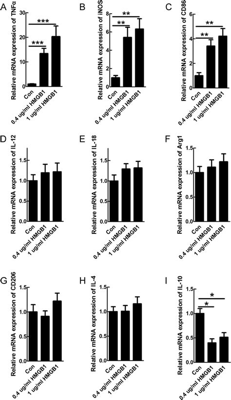 Hmgb Increased The Expression Of Pro Inflammatory Markers In The