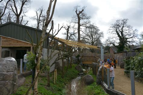 Longleat Koala Habitat Nautilus